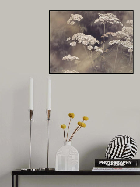 Wild Parsley Poster och Canvastavla