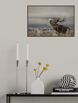 Poster och Canvastavla