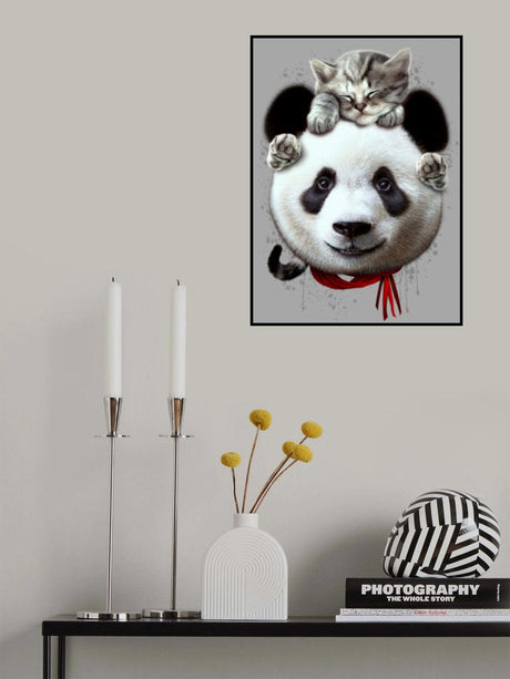 cat on panda bear Poster och Canvastavla