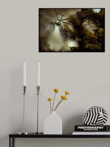 Action to save nature... Poster och Canvastavla