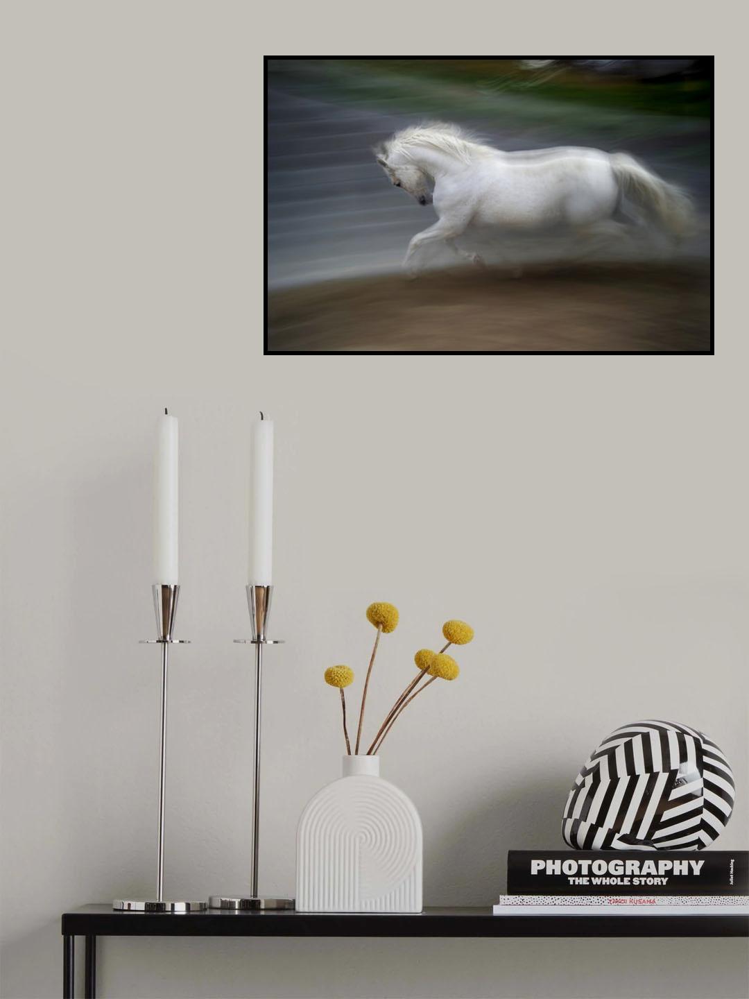 elegance Poster och Canvastavla