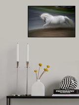 elegance Poster och Canvastavla