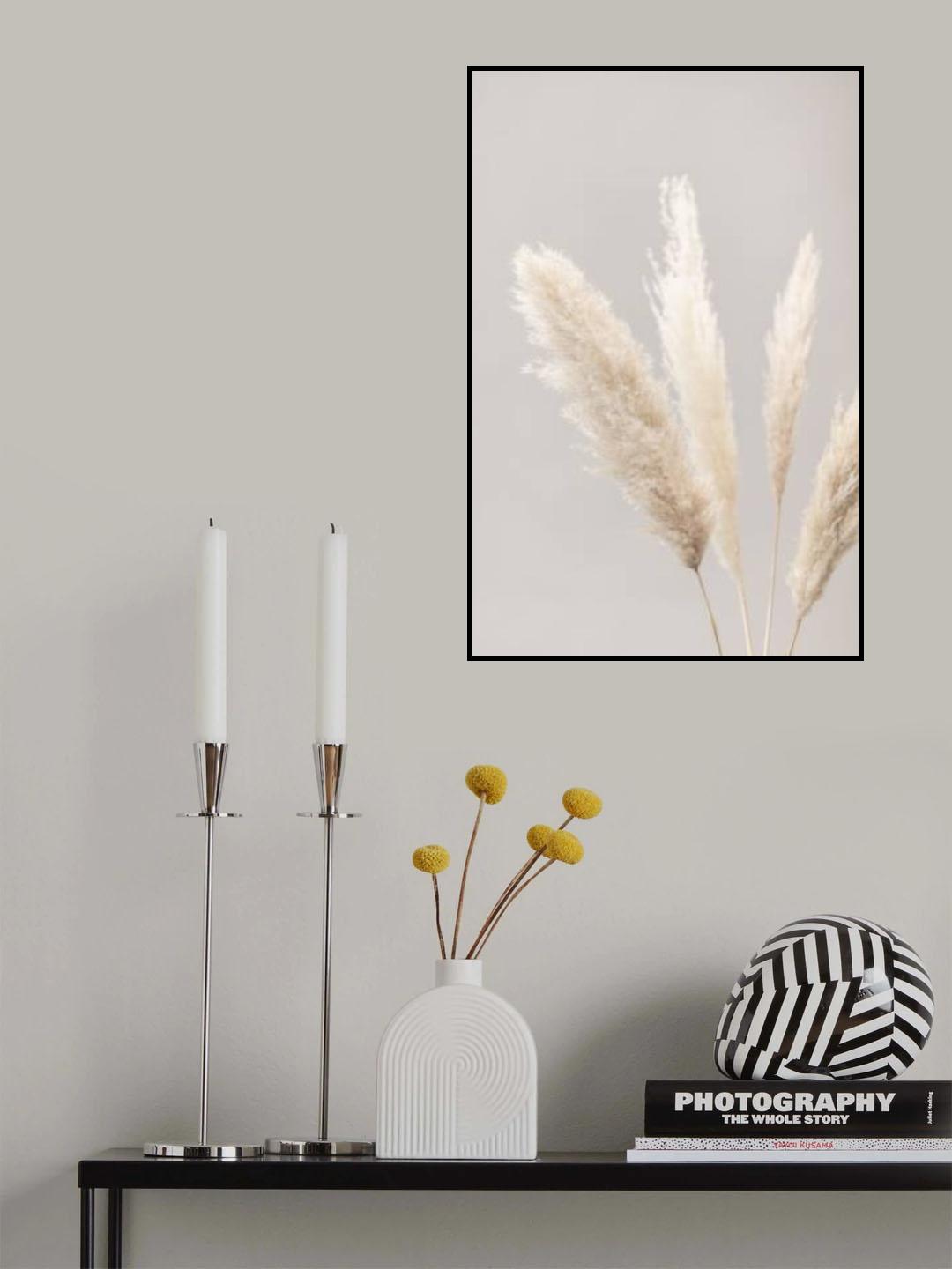 Pampas Grass Grey 06 Poster och Canvastavla