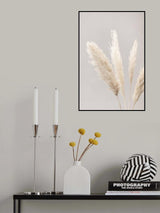 Pampas Grass Grey 06 Poster och Canvastavla