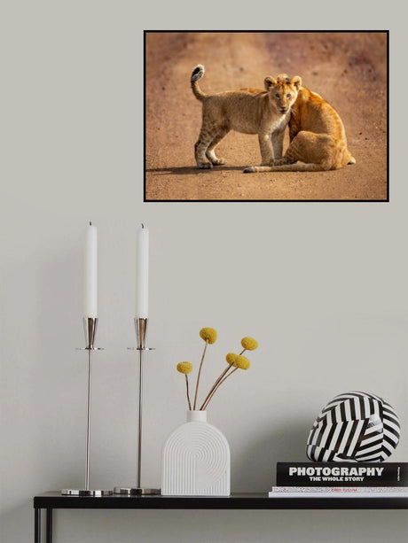 CURIOUS Poster och Canvastavla
