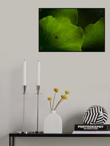 Wanderlust Poster och Canvastavla