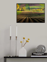 Shape Poster och Canvastavla