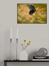 Flower dancer 01 Poster och Canvastavla