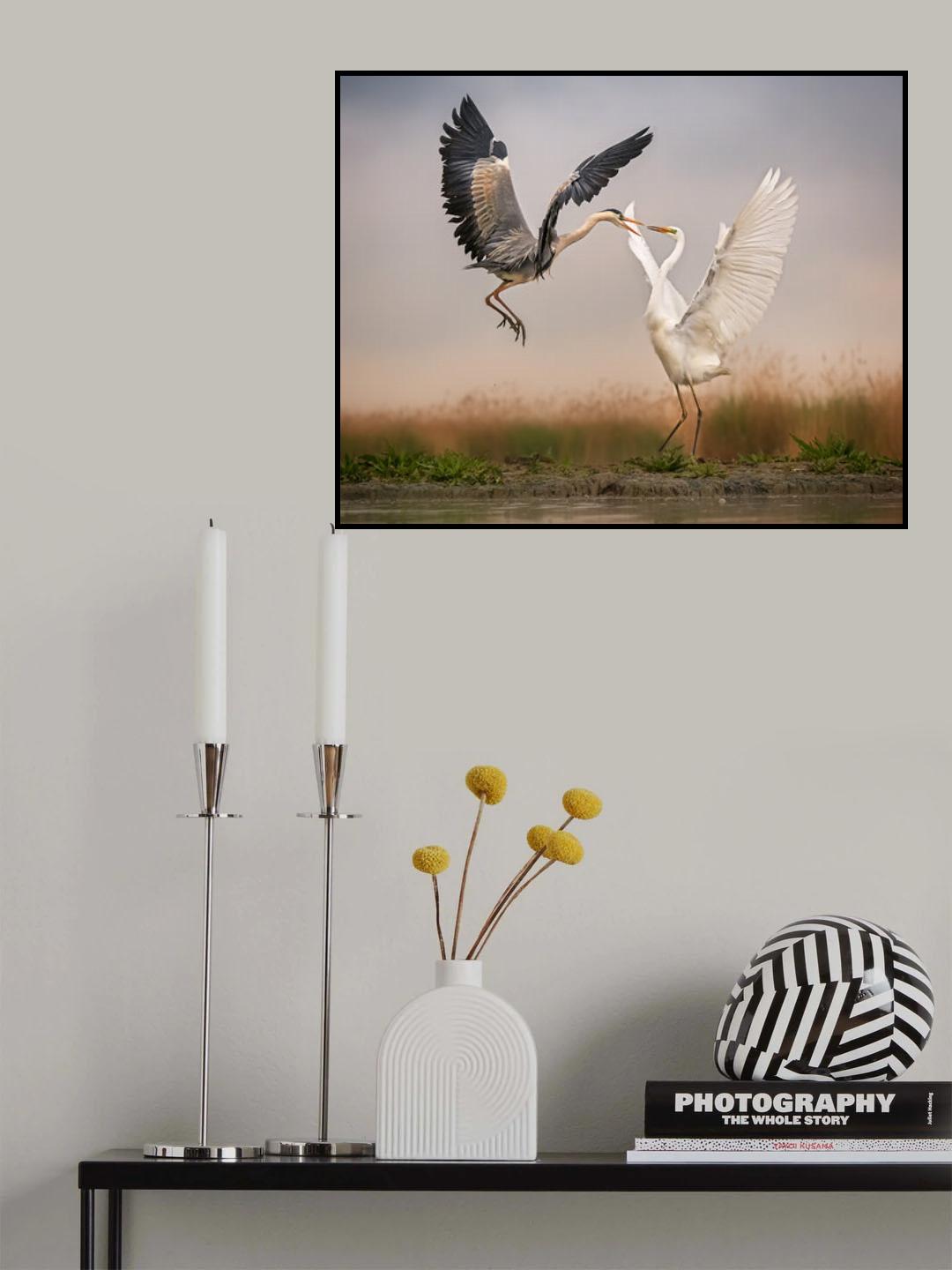 Ballet Poster och Canvastavla