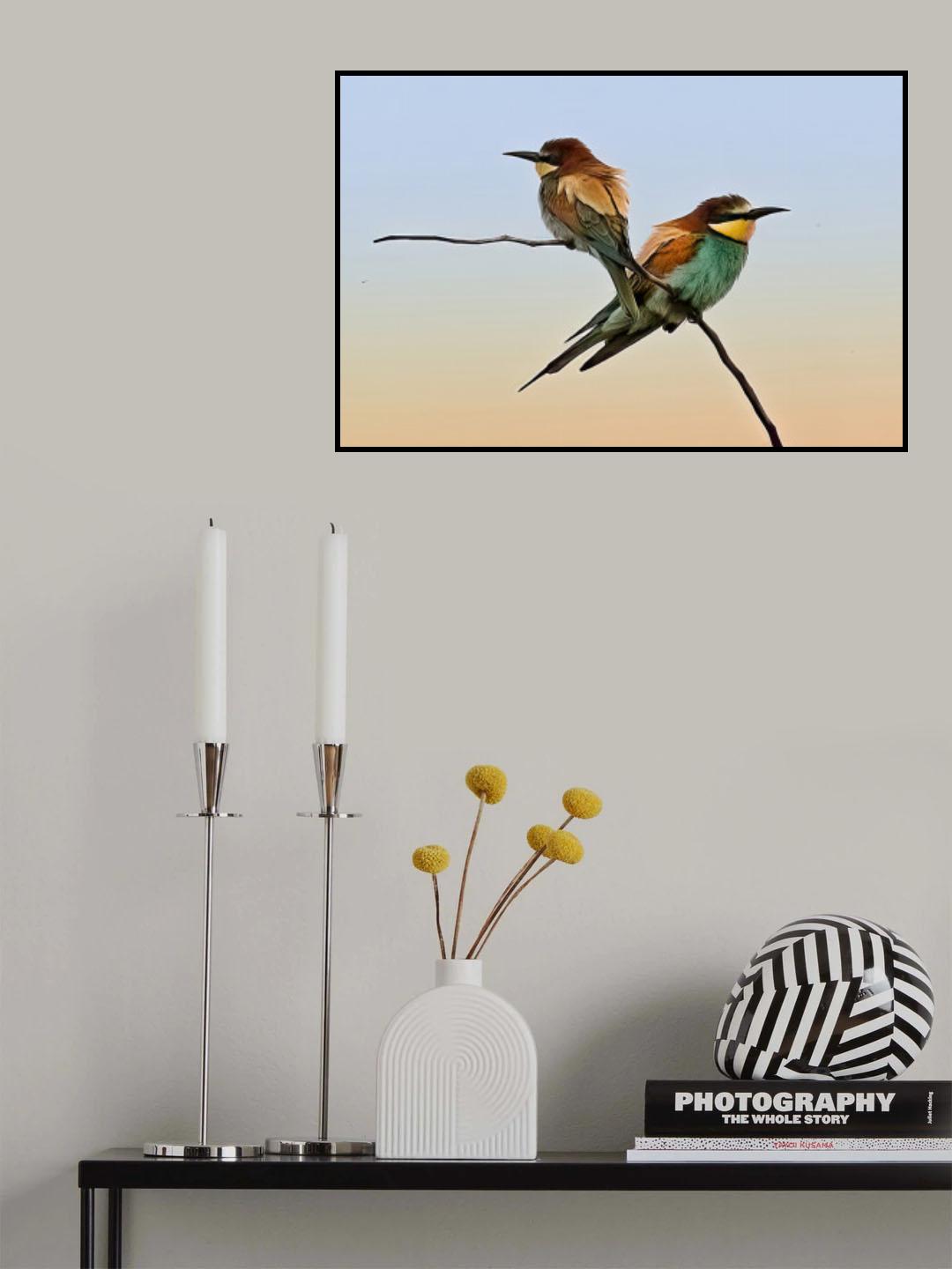 Merops apiaster#2 Poster och Canvastavla