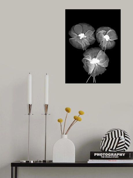 Black and White Delicate Flowers Poster och Canvastavla