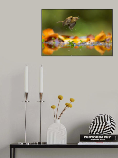 Droplets Poster och Canvastavla