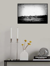 Like a broken winged Poster och Canvastavla