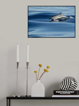 Surfing a velvet sea Poster och Canvastavla