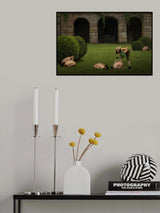 The secret garden II Poster och Canvastavla