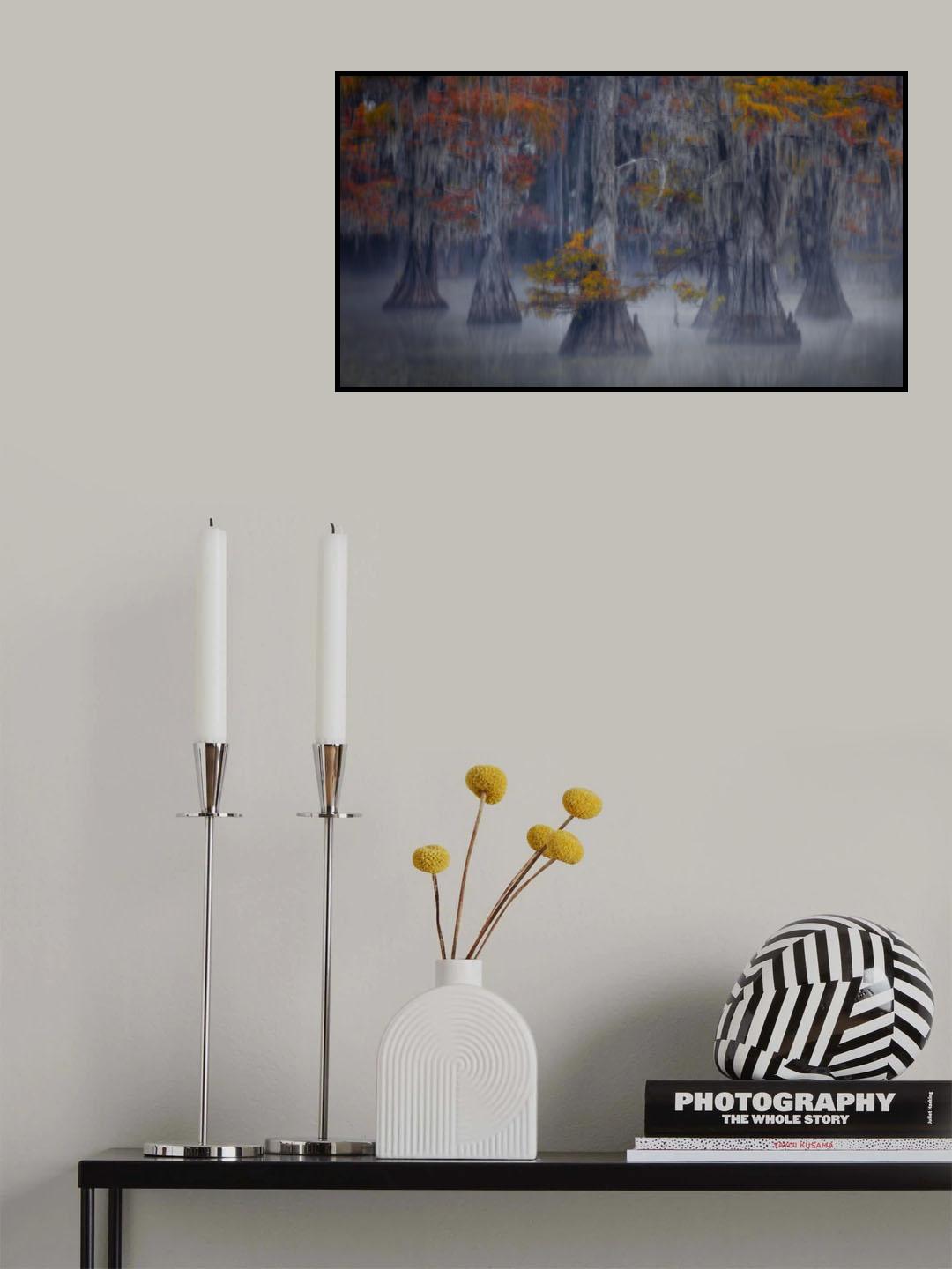 Fleet of Cypress Poster och Canvastavla