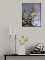 Shortie in the snowfall Poster och Canvastavla