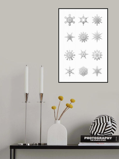 Twelve geometric snowflakes in gray Poster och Canvastavla