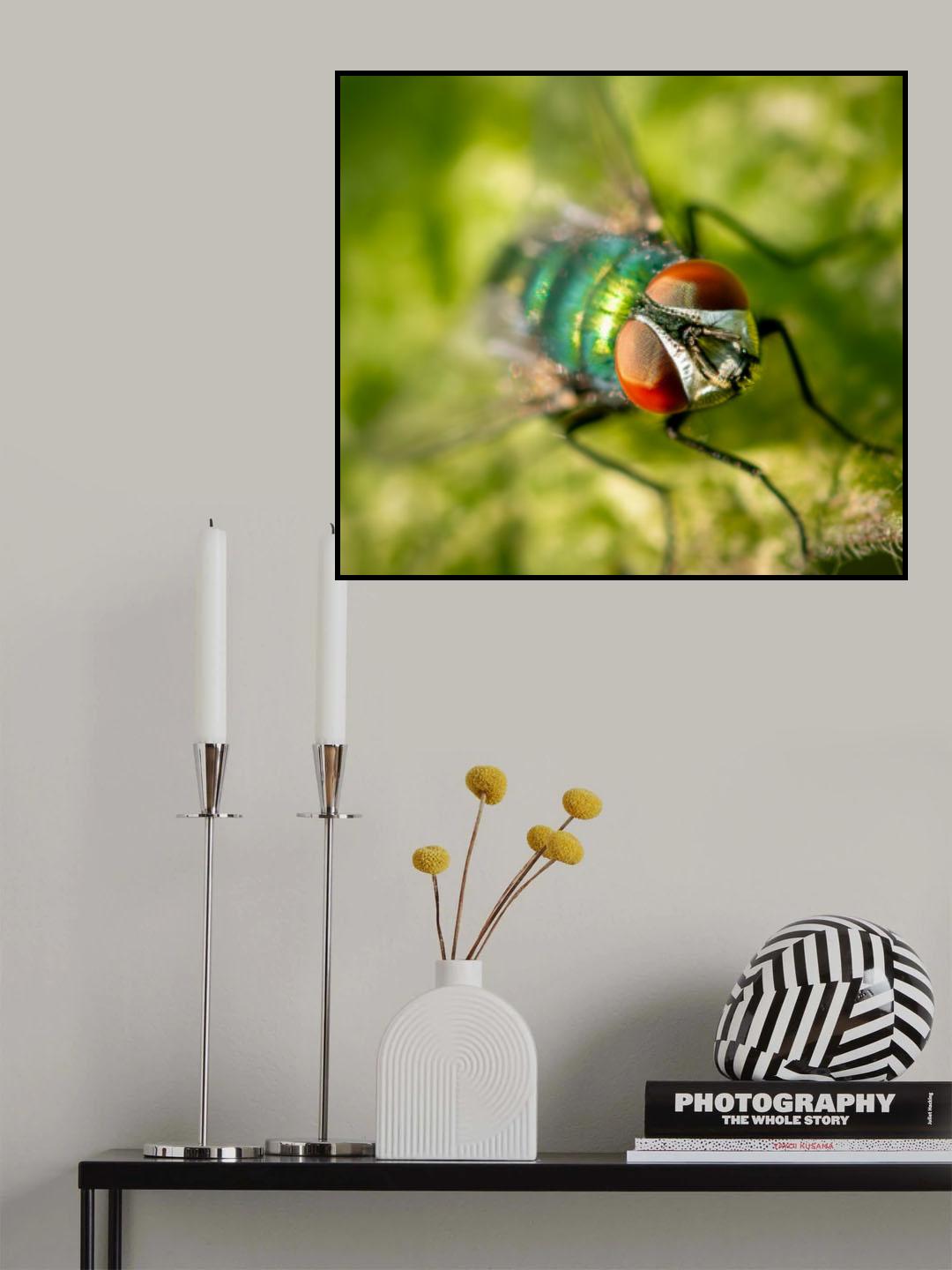 Greenbottle Poster och Canvastavla