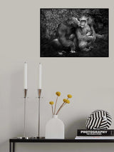 THE FAMILY Poster och Canvastavla