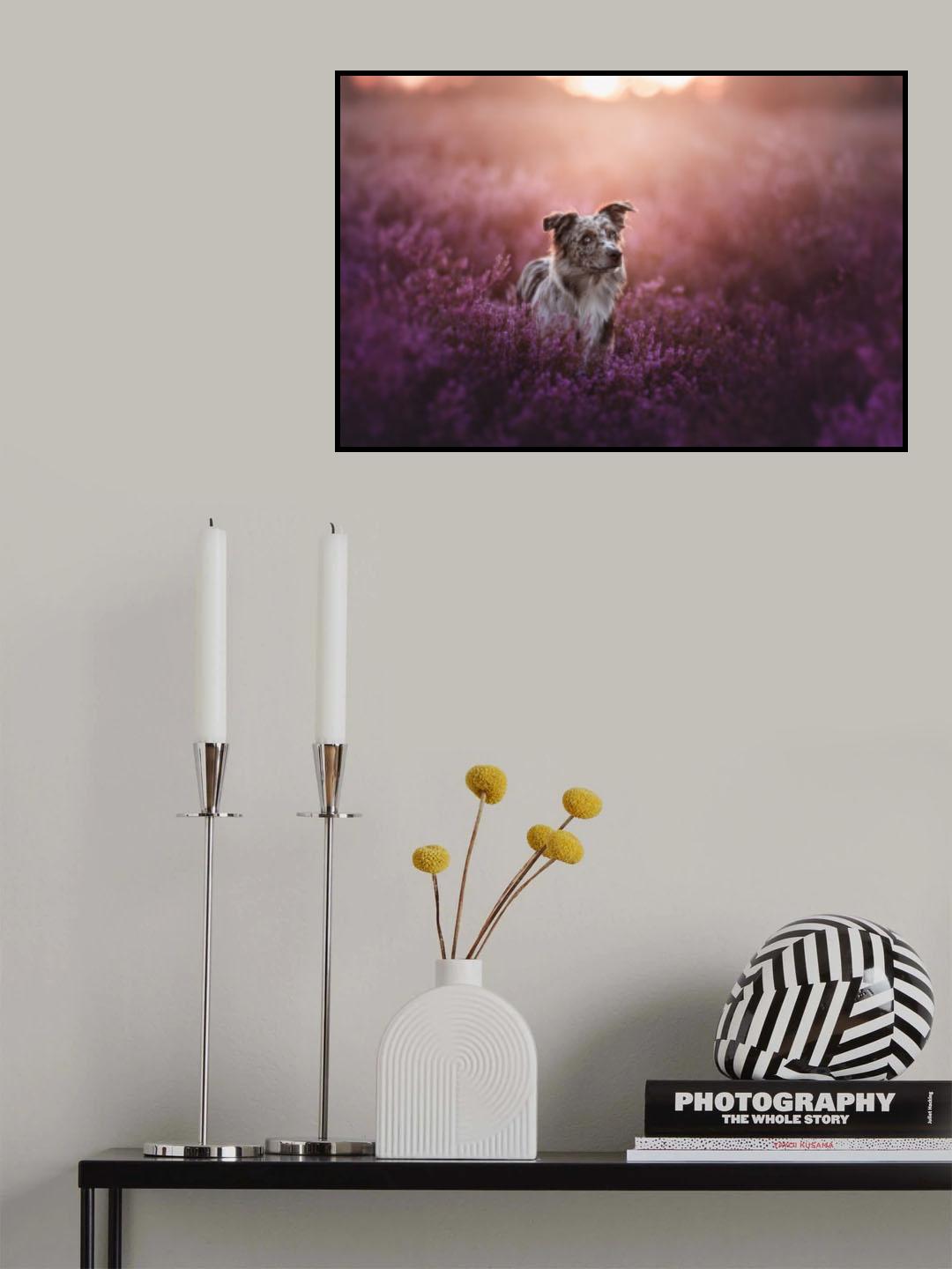 Summer Poster och Canvastavla