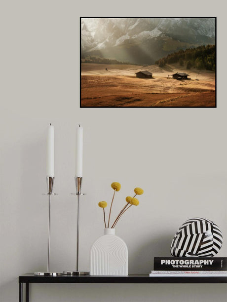 In the light Poster och Canvastavla
