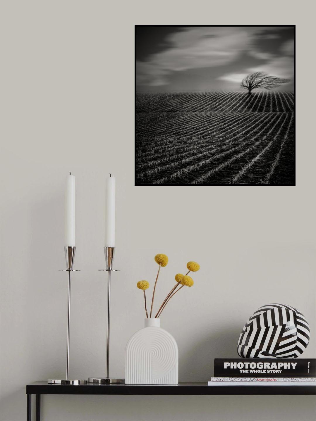 Loneliness Poster och Canvastavla