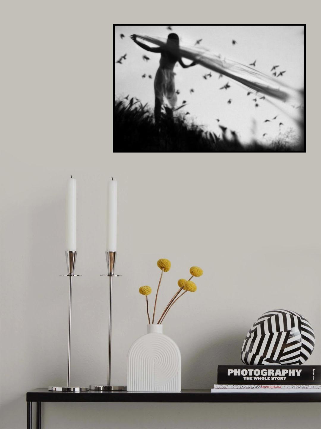 fly away Poster och Canvastavla
