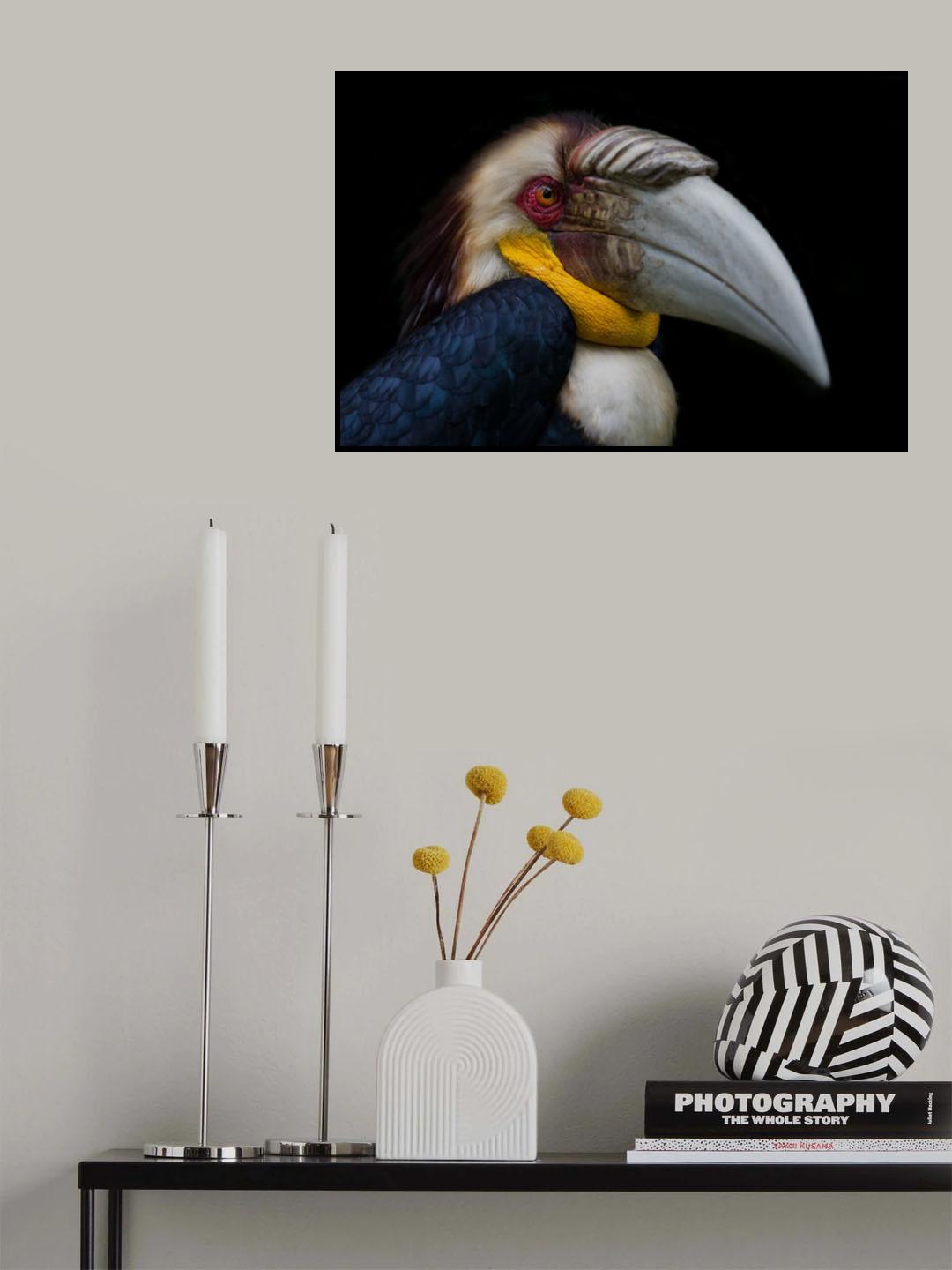 Wreathed hornbill Poster och Canvastavla
