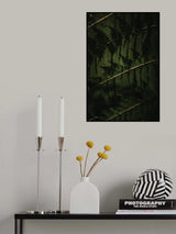 Botanical Series - Fern 2/2 Poster och Canvastavla
