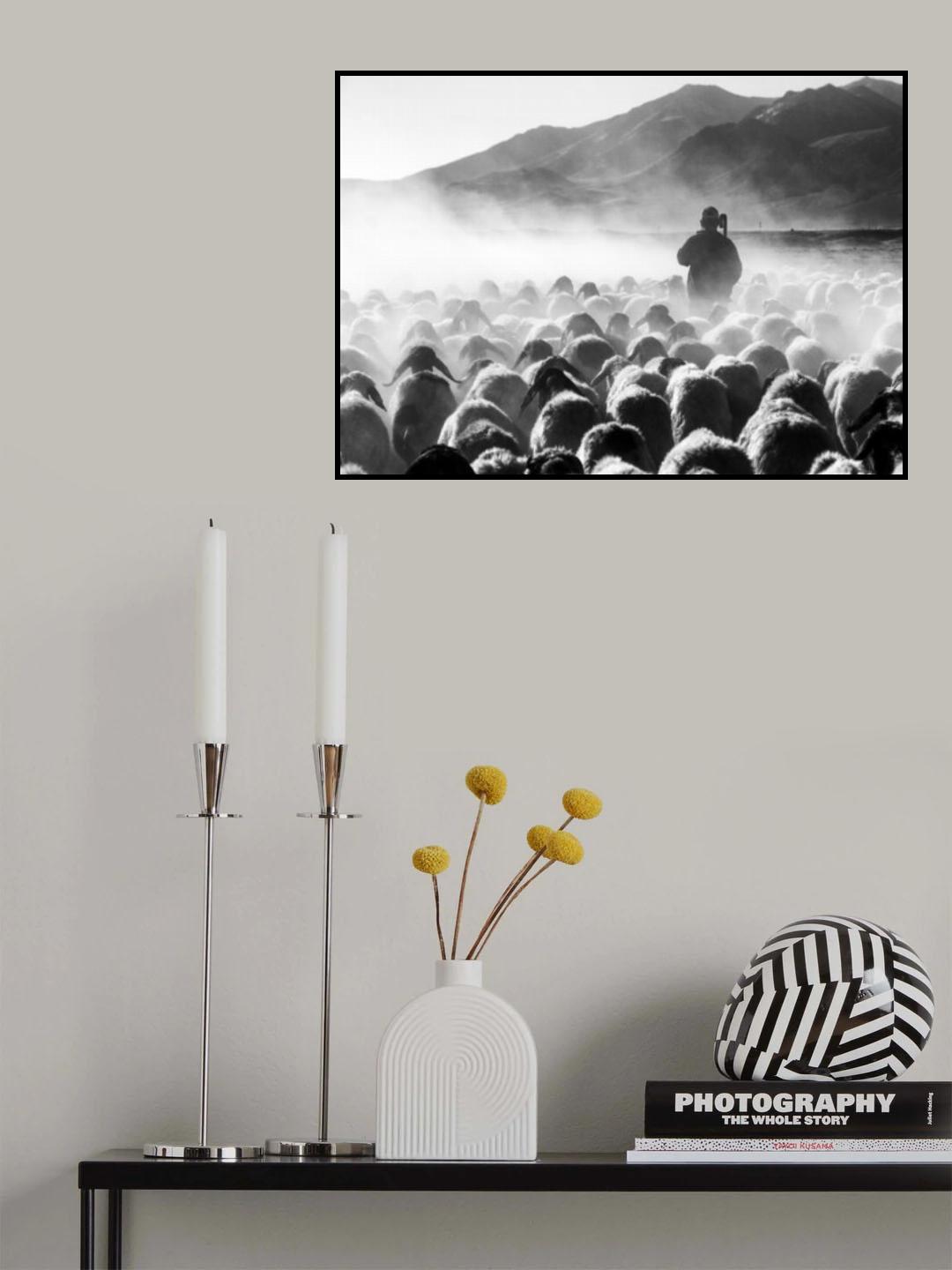 heads Poster och Canvastavla