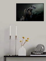 Squirrel Poster och Canvastavla