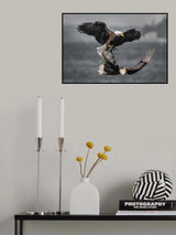 Poster och Canvastavla