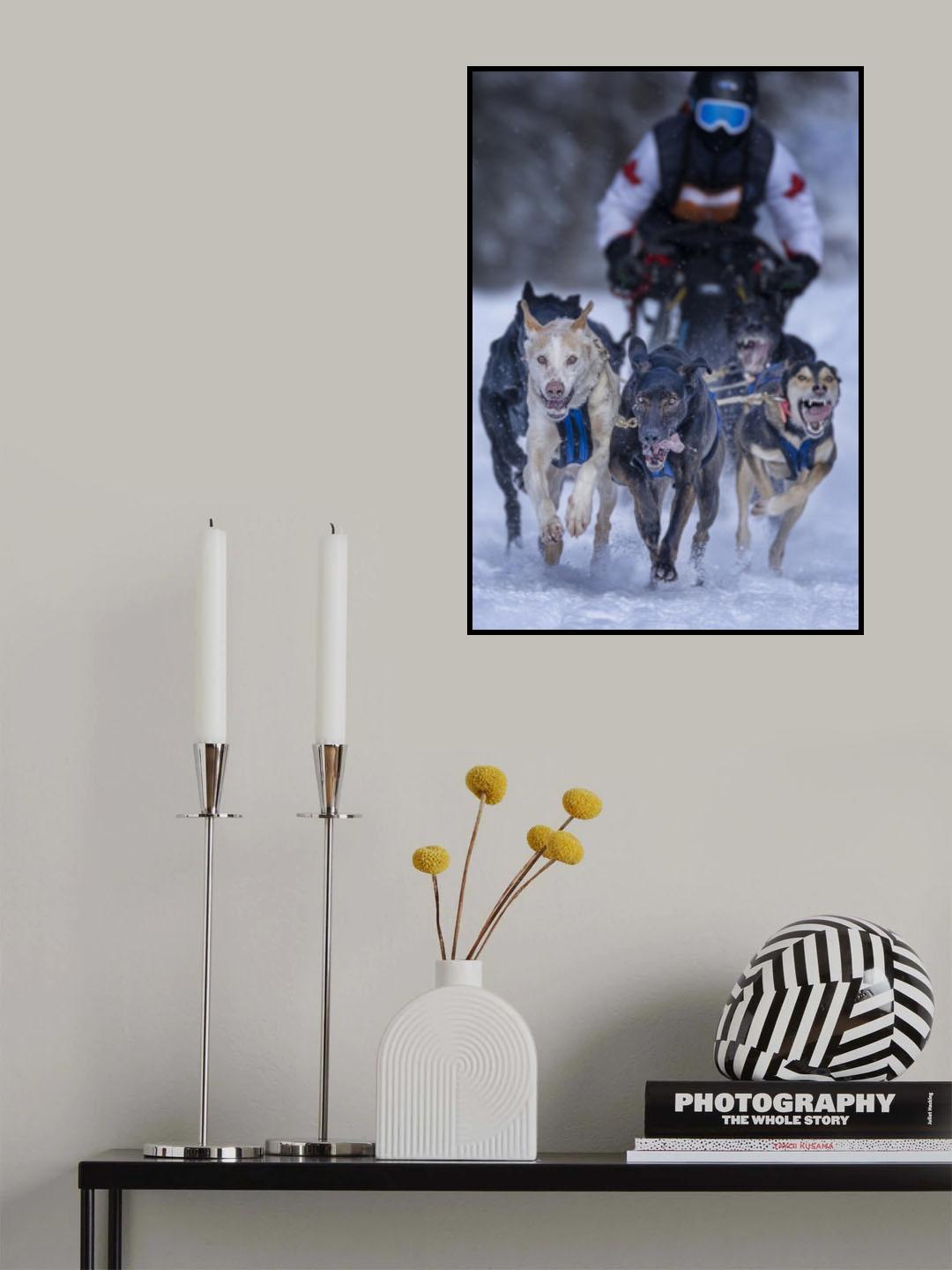 The race Poster och Canvastavla