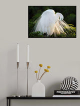 Princess of the Sun Poster och Canvastavla
