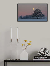 The Oak and The Moon Poster och Canvastavla