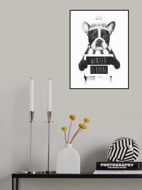 Winter is boring Poster och Canvastavla