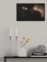 Eddi Poster och Canvastavla