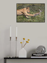 Young Hunter Poster och Canvastavla