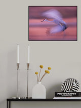 Elegance Poster och Canvastavla