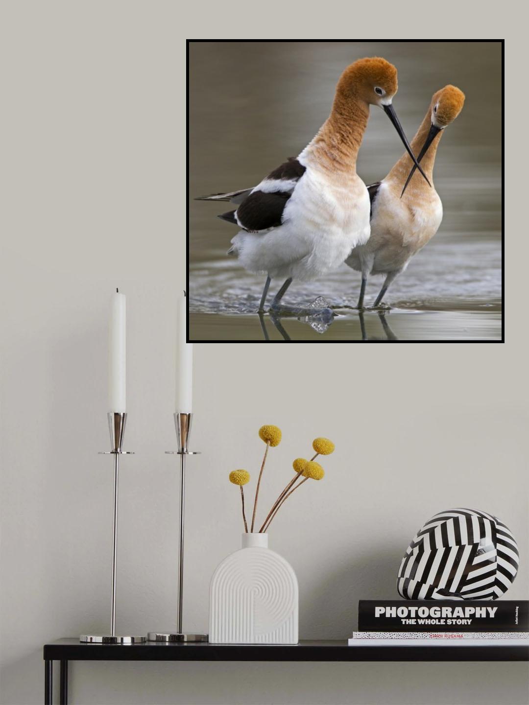 Love crossing ... Poster och Canvastavla