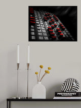 Passing bird Poster och Canvastavla