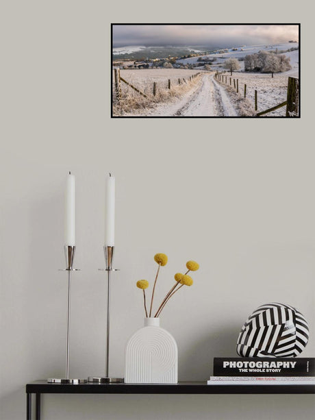 RePost 009 - Winter wonderland - 2017.03 Poster och Canvastavla