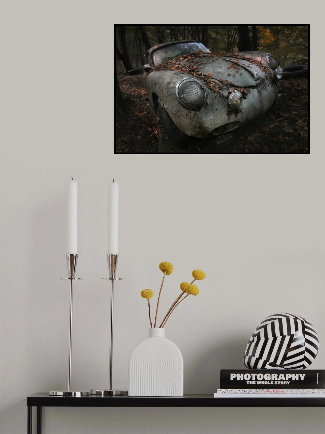 red forest Poster och Canvastavla