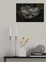 red forest Poster och Canvastavla