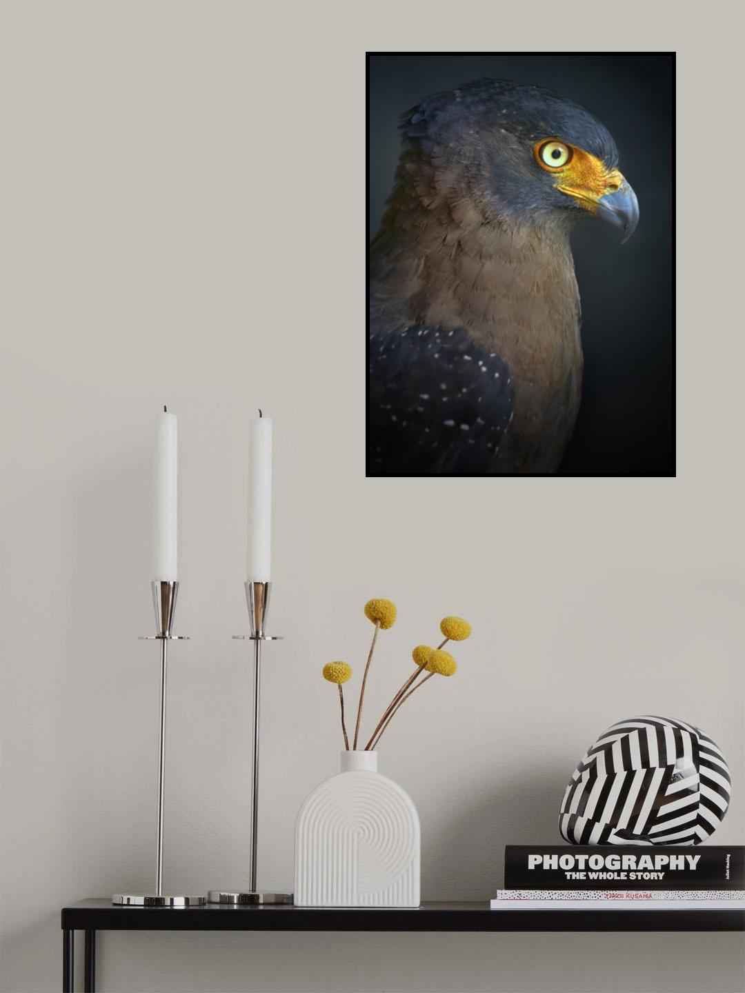 Stare Poster och Canvastavla