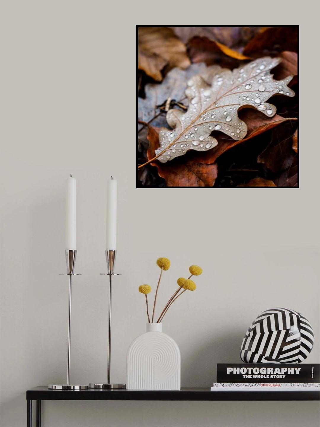 Traces of life Poster och Canvastavla