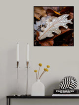Traces of life Poster och Canvastavla