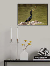 Fishing 2 Poster och Canvastavla