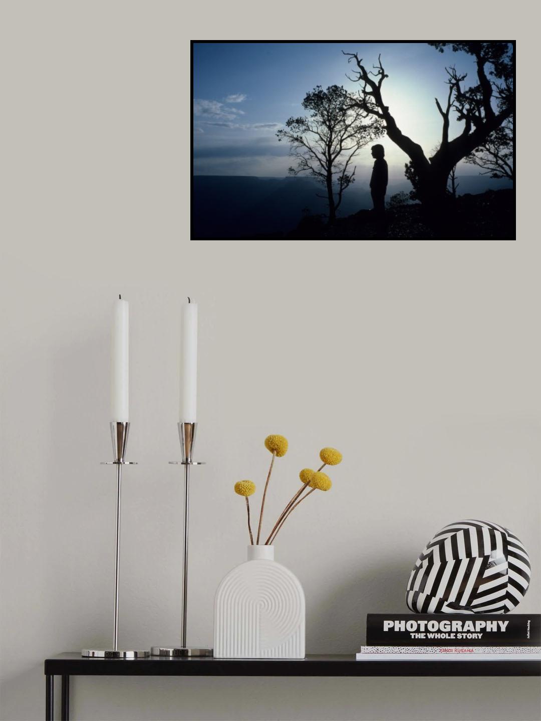 Reflective thought Poster och Canvastavla